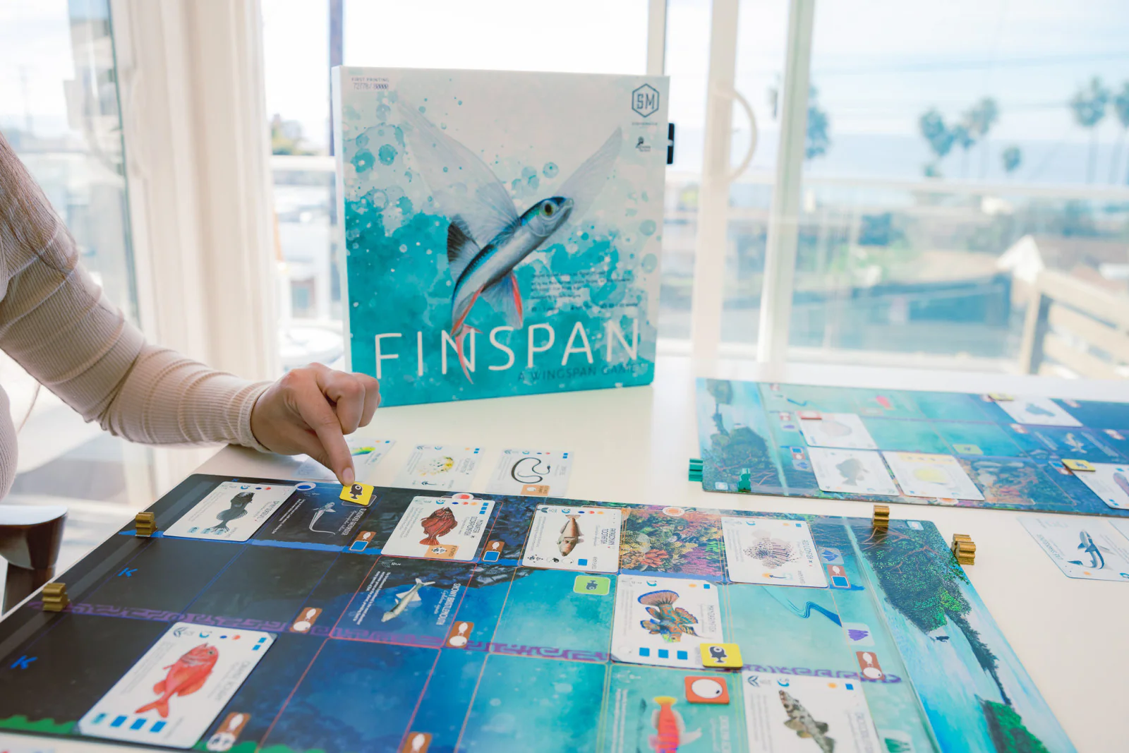 Finspan - Image 4