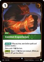 Combat Experience [031/219] Common -FOIL
